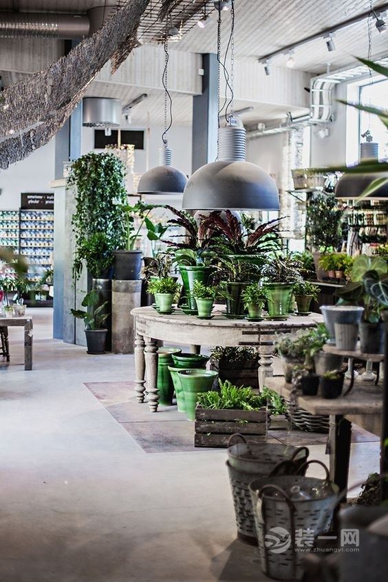 9张绿植店装修效果图 让你拥有绿意十足的文艺小店